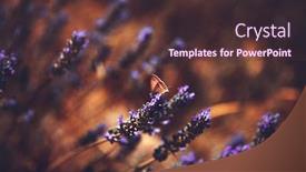  Presentation with grunge flower - Colorful slide set enhanced with floral-grunge-background-beautiful backdrop and a tawny brown colored foreground