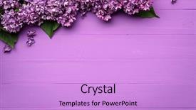  Presentation with beautiful floral border flower design - Cool new presentation design with floral lilac border for design backdrop and a lilac colored foreground