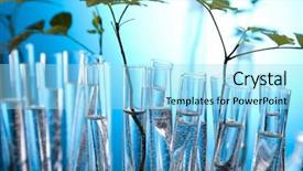  Presentation with floral - Amazing slides having floral science in laboratory backdrop and a arctic colored foreground