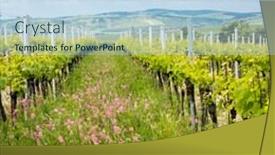 Presentation with czech republic - PPT layouts enhanced with floral-spacing-in-organic-vineyard background and a light blue colored foreground