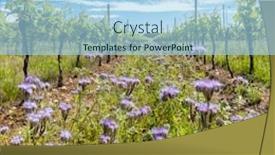  Presentation with czech republic - PPT layouts featuring floral-spacing-in-organic-vineyard background and a light blue colored foreground
