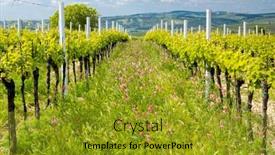  Presentation with czech republic - Presentation design with floral-spacing-in-organic-vineyard background and a gold colored foreground