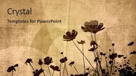  Presentation with text the texture mineral - Slides consisting of floral style textures with space background and a  colored foreground