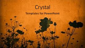  Presentation with floral - Audience pleasing PPT layouts consisting of floral style textures with space backdrop and a  colored foreground