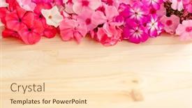  Presentation with mother floral - Audience pleasing theme consisting of floral-summer-background-frame backdrop and a lemonade colored foreground