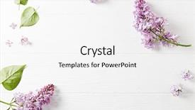  Presentation with white easter lily flowers - Amazing slide set having floral templates - arrangement of spring lilac flowers backdrop and a white colored foreground
