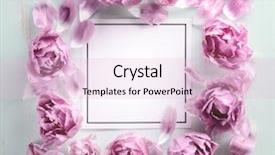  Presentation with tulips - Cool new PPT theme with floral templates - tulips and blank card flat backdrop and a lemonade colored foreground