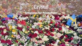  Presentation with tribute - Audience pleasing slides consisting of floral tributes in stockholm truck backdrop and a coral colored foreground