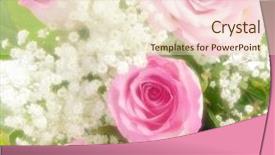  Presentation with pink roses - PPT theme enhanced with floral wedding - beautiful soft pink roses bouquet background and a  colored foreground