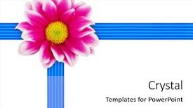  Presentation with flower - Audience pleasing presentation design consisting of floral wedding - flower and ribbon isolated backdrop and a white colored foreground