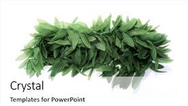  Presentation with isolated fall oak leaf - Audience pleasing theme consisting of floral welcome - green leaf hawaiian lei isolated backdrop and a white colored foreground
