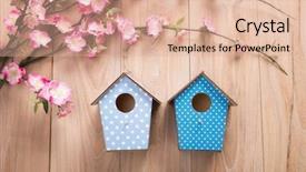  Presentation with hang - PPT theme consisting of floral welcome - two birdhouses hang on spring background and a lemonade colored foreground
