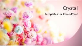  Presentation with summer flowers - Beautiful theme featuring florals - spring or summer floral background backdrop and a cream colored foreground