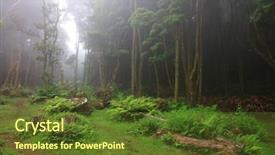  Presentation with snails and forest - Beautiful theme featuring flores - tropical forest at pozo da backdrop and a  colored foreground