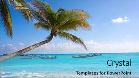  Presentation with palm beach - Amazing PPT theme having flores de mayo - playa del carmen beach palm backdrop and a light blue colored foreground