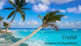  Presentation with maya - Beautiful PPT theme featuring flores de mayo - playa del carmen beach palm backdrop and a cyan colored foreground