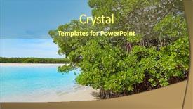  Presentation with florida beach - Slides with florida bonita bay beach mangrooves background and a tawny brown colored foreground