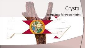  Presentation with florida - Colorful presentation theme enhanced with florida flag wooden sign isolated backdrop and a lemonade colored foreground