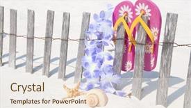  Presentation with florida beach - Audience pleasing theme consisting of florida flower - seashells lei and sandals backdrop and a sky blue colored foreground