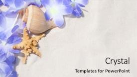  Presentation with shellfish - Beautiful slides featuring florida flower - shellfish on beach by lei backdrop and a white colored foreground