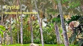  Presentation with paradise - Amazing PPT theme having florida flower - tropical palm garden in beautiful backdrop and a violet colored foreground