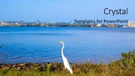  Presentation with orlando florida usa downtown city - Theme with florida marco island view heron background and a light blue colored foreground