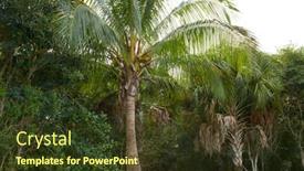  Presentation with florida - Slides consisting of florida-sanibel-and-captiva-island background and a tawny brown colored foreground