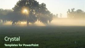 Presentation with fog - Slides with florida sunrise - amazing brilliant sun light background and a tawny brown colored foreground