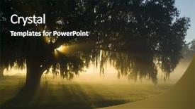  Presentation with brilliant gold - Cool new presentation design with florida sunrise - amazing brilliant sun light backdrop and a wine colored foreground