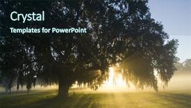  Presentation with brilliant gold - PPT theme having florida sunrise - amazing brilliant sun light background and a wine colored foreground