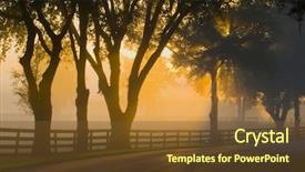  Presentation with fog - Presentation theme with florida sunrise - brilliant sun light with fog background and a tawny brown colored foreground