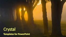  Presentation with fog network - Slides with florida sunrise - brilliant sun light with fog background and a wine colored foreground