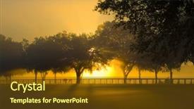  Presentation with fog - Cool new presentation design with florida sunrise - brilliant sun light with fog backdrop and a tawny brown colored foreground
