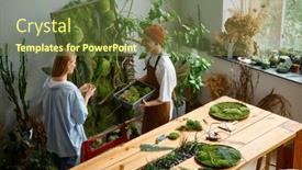  Presentation with handicraft - PPT layouts featuring florist-and-decorator-making-handicraft background and a tawny brown colored foreground