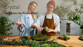  Presentation with diy - Presentation theme with florist-and-decorator-team-working background and a  colored foreground