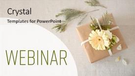  Presentation with beautiful floral border flower design - Colorful theme enhanced with florist and floral design tutorial backdrop and a  colored foreground