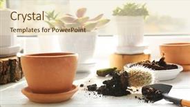  Presentation with succulent - Slides having florist concept replanting beautiful succulent background and a lemonade colored foreground