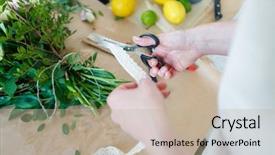  Presentation with ribbon cutting - Amazing theme having florist cuts ribbon for bouquet backdrop and a  colored foreground