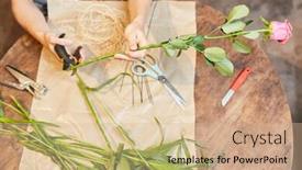  Presentation with rose flower - Slide deck enhanced with florist-cuts-with-flower-scissors background and a coral colored foreground