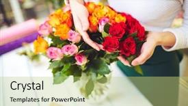  Presentation with female - Colorful slide set enhanced with florist hands touching fresh rosebud backdrop and a mint green colored foreground