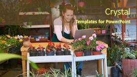  Presentation with order - Slide set featuring florist-in-the-flower-shop background and a tawny brown colored foreground
