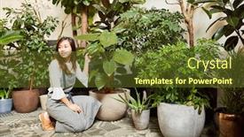  Presentation with plants - Slides enhanced with florist-of-eventfloristik-decorates-green background and a tawny brown colored foreground