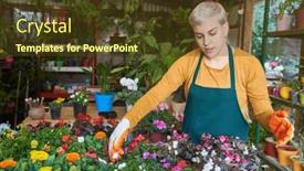  Presentation with caring - Slide deck featuring florist-or-gardener-caring background and a tawny brown colored foreground