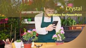  Presentation with online marketing - Slides enhanced with florist-or-gardener-takes-photos background and a tawny brown colored foreground