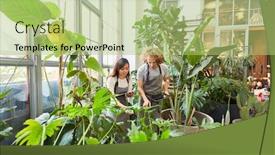  Presentation with greenhouse - Slide set consisting of florist-or-gardener-team background and a mint green colored foreground