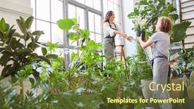  Presentation with plants - Cool new slides with florist-team-works-together backdrop and a tawny brown colored foreground