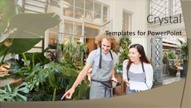 Presentation with examination - Amazing theme having florist-trainee-and-examiner backdrop and a soft green colored foreground