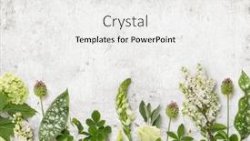  Presentation with flowers border - Beautiful theme featuring floristry-or-garden-themed-background backdrop and a white colored foreground