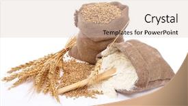  Presentation with flour - Cool new slides with lettuce - sandwich close-up isolated backdrop and a lemonade colored foreground.