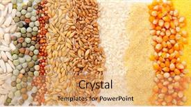  Presentation with cereal - PPT theme enhanced with flour mill - colorful cereal seeds as background background and a yellow colored foreground